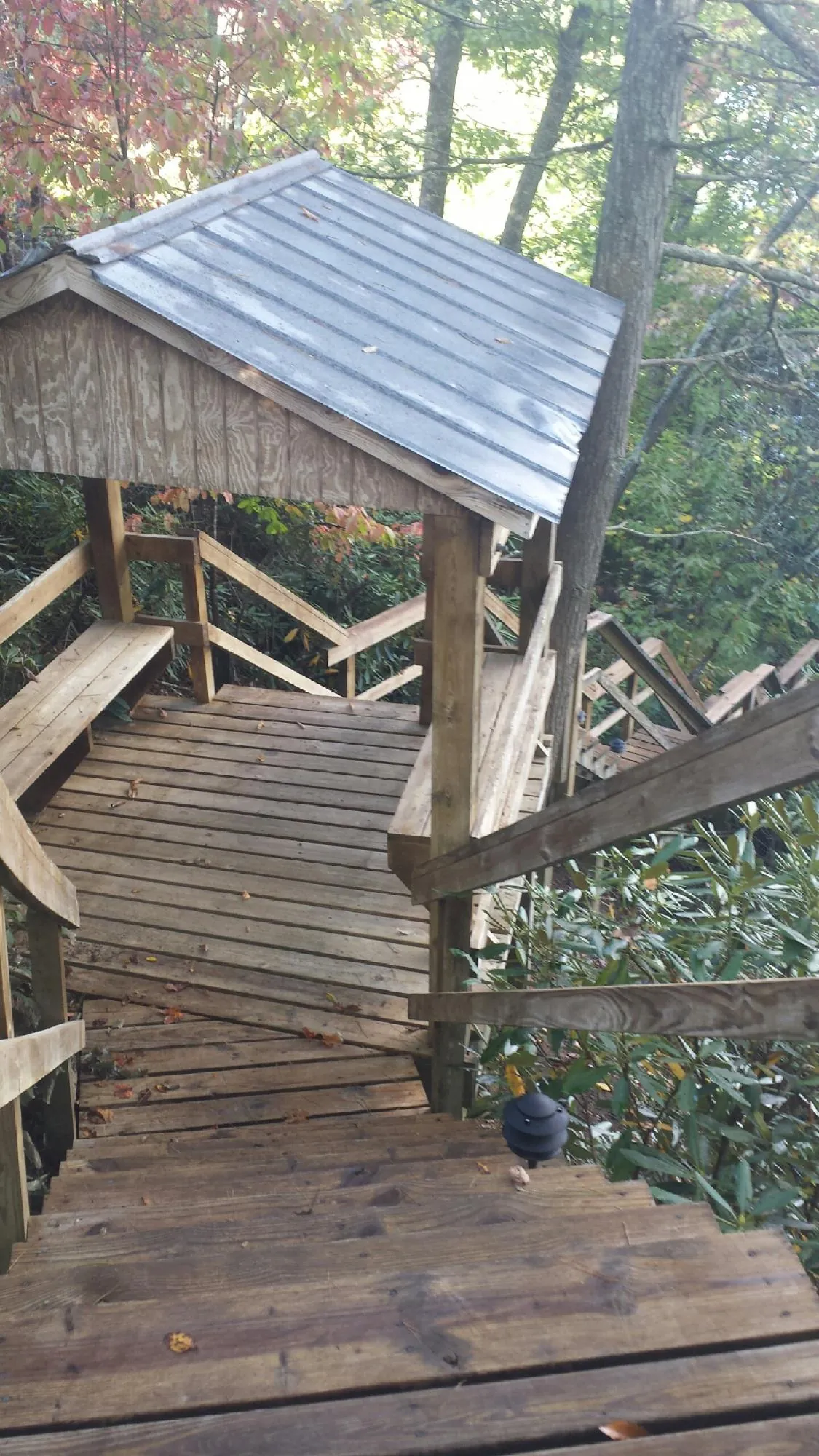Metal roofed shelter over wooden steps on a wooded walkway — Skylight Repair & Installation work by our crew in Holly Springs